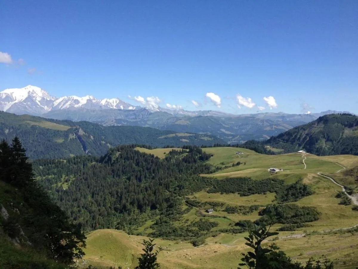 Chalet De Charme Avec Vue Spendide Menthon-Saint-Bernard
